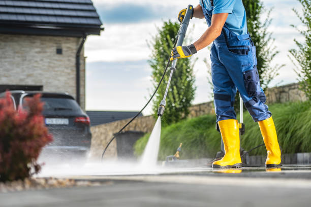 Best Fence Cleaning and Maintenance in Spring Valley, IL